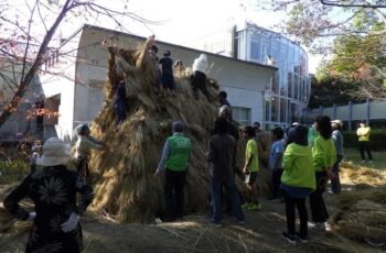 【共催】体験！考古学講座　茅葺職人さんと竪穴住居を建てよう